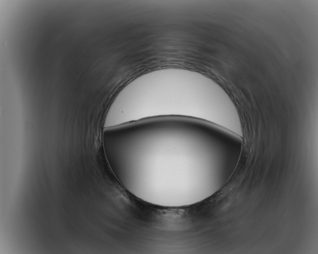 X0000088480474200705221005