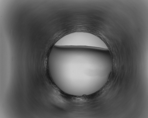 X0000088480475200705221005