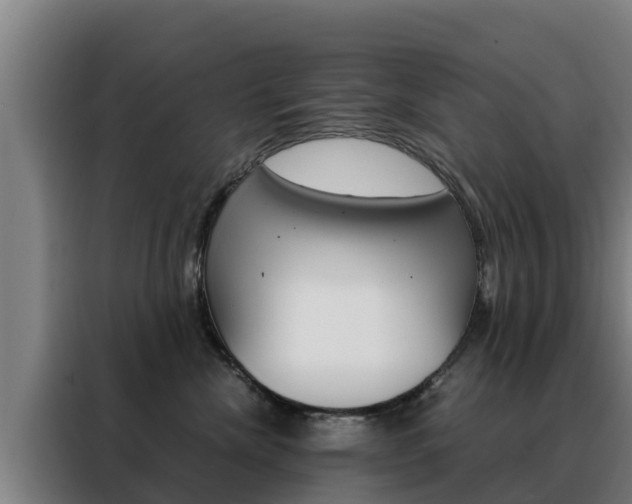 X0000088480476200705221005