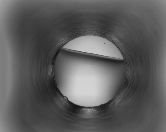 X0000088480477200705221005