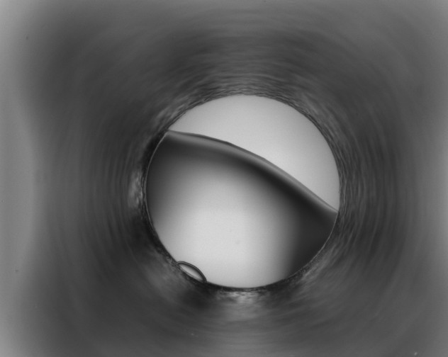 X0000088480478200705221005