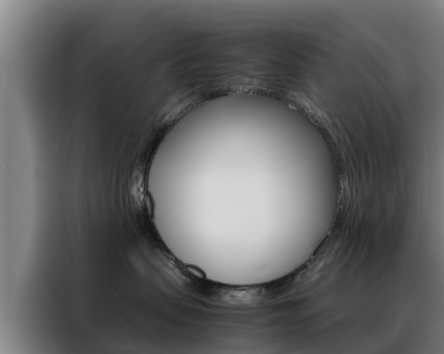 X0000088480479200705221005