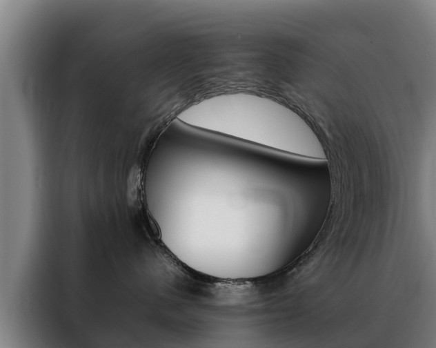 X0000088480480200705221005