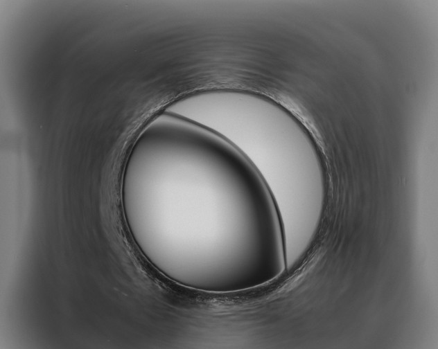 X0000088480481200705221004