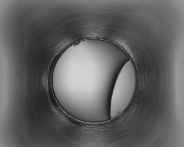 X0000088480482200705221004
