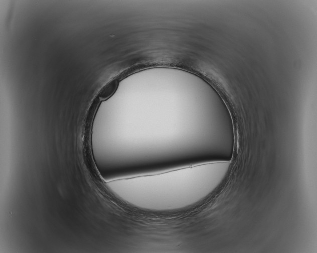 X0000088480483200705221004