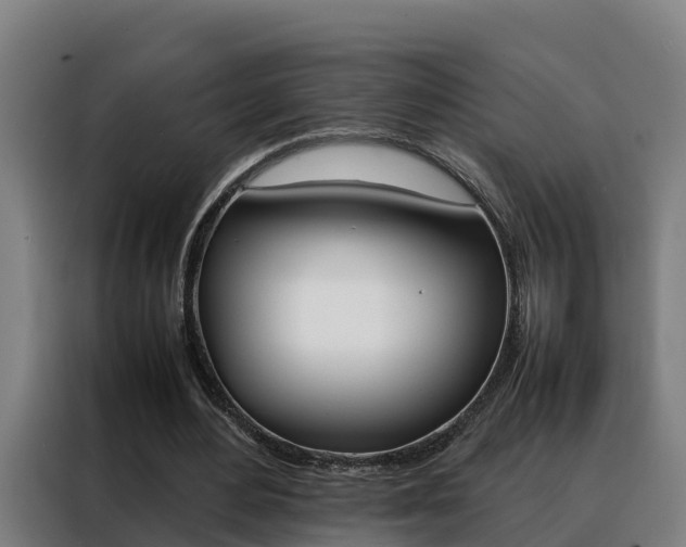 X0000088480484200705221004