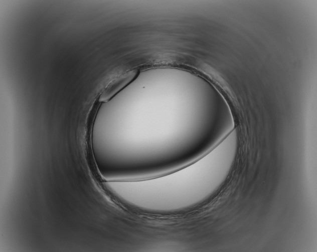 X0000088480485200705221004