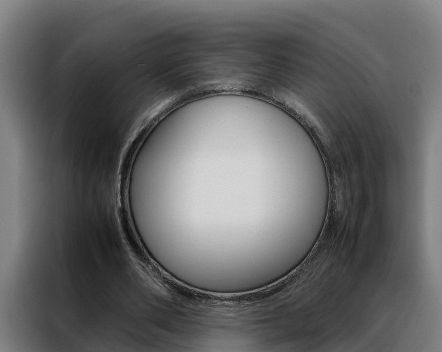X0000088480486200705221004