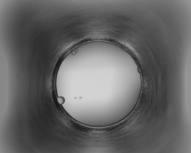 X0000088480487200705221004