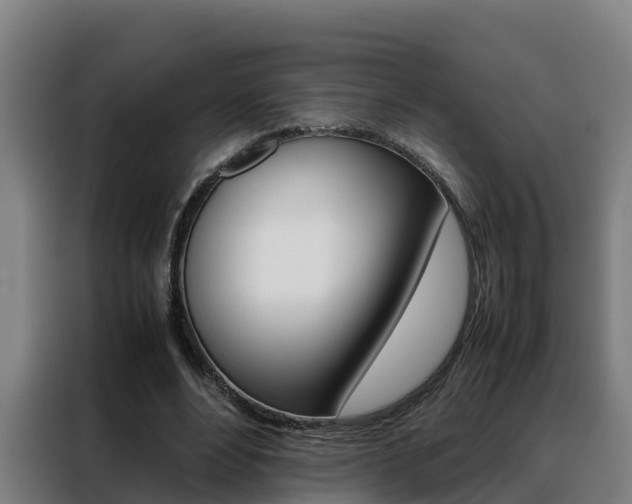 X0000088480488200705221004