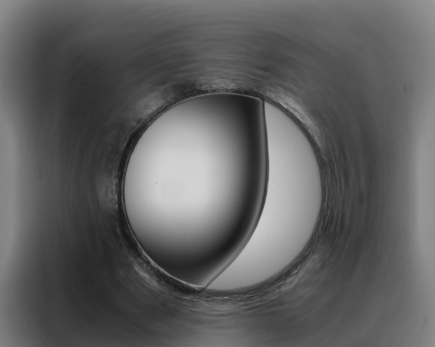 X0000088480489200705221004