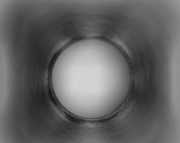 X0000088480490200705221004