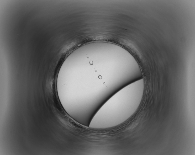 X0000088480491200705221004