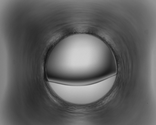 X0000088480493200705221004