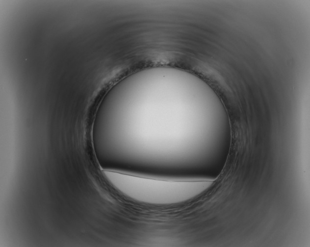 X0000088480496200705221004