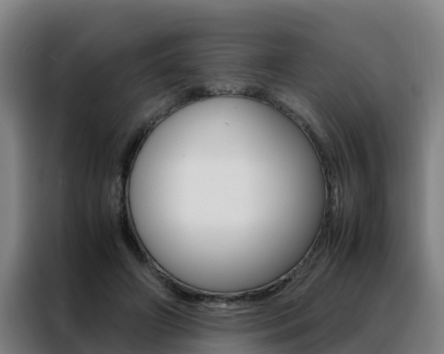 X0000088480498200705221004