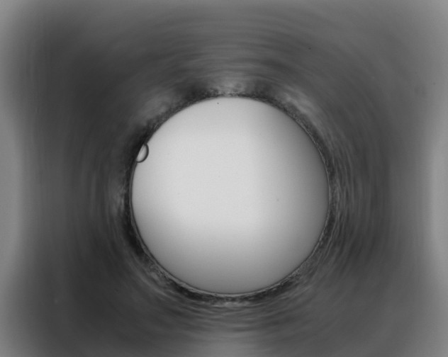 X0000088480499200705221004