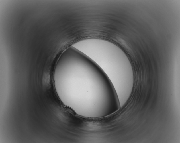 X0000088480500200705221004