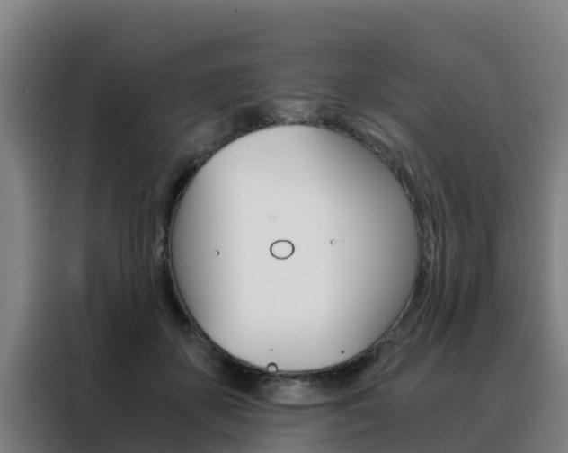 X0000088480507200705221004