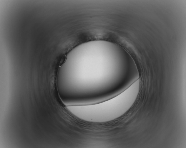 X0000088480509200705221004