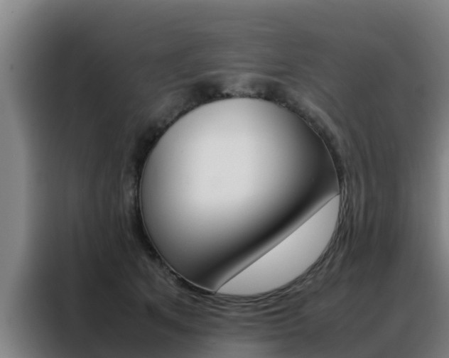 X0000088480513200705221004
