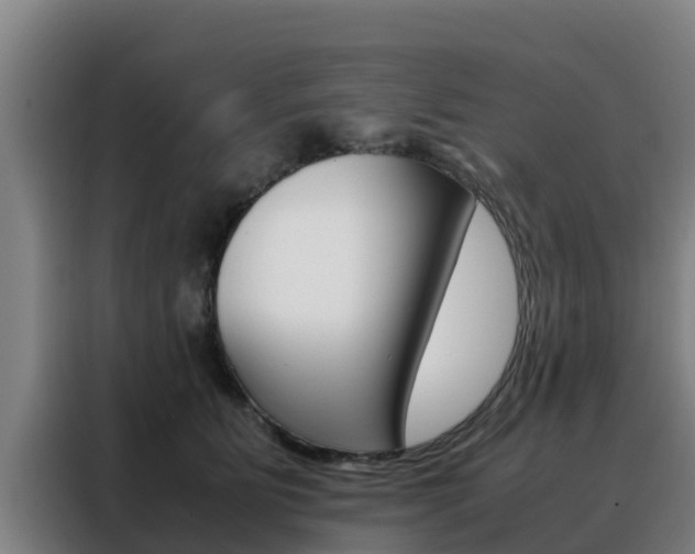 X0000088480515200705221004