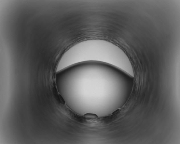 X0000088480516200705221004