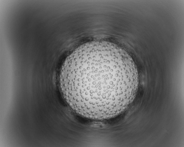 X0000088480519200705221004