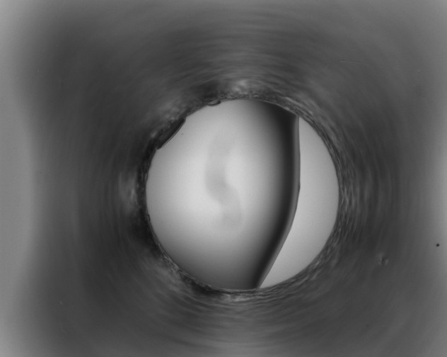 X0000088480520200705221004