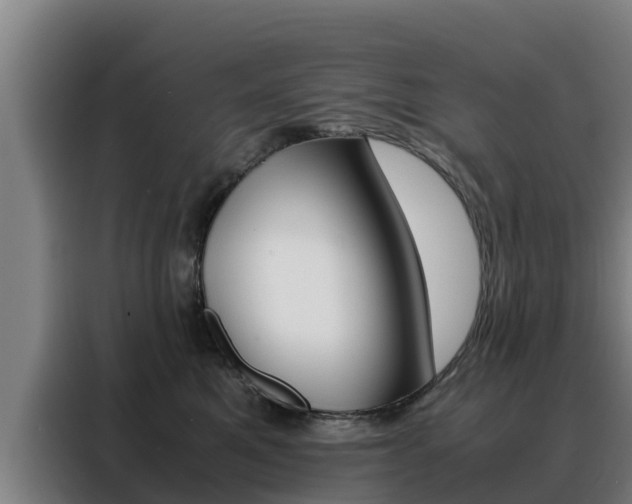 X0000088480521200705221004