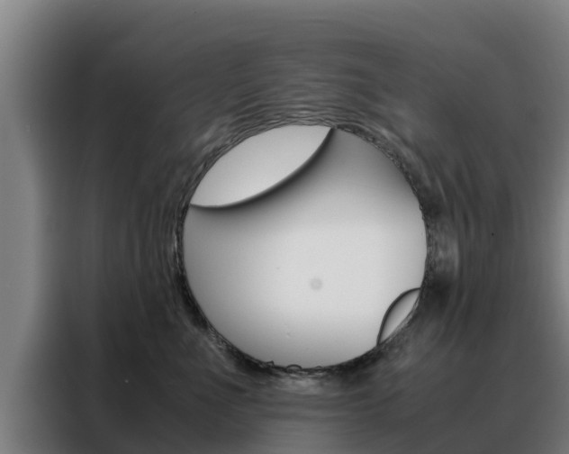 X0000088480523200705221004