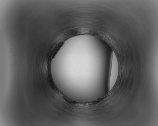 X0000088480524200705221004