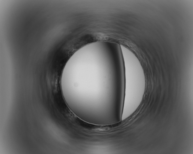 X0000088480525200705221004
