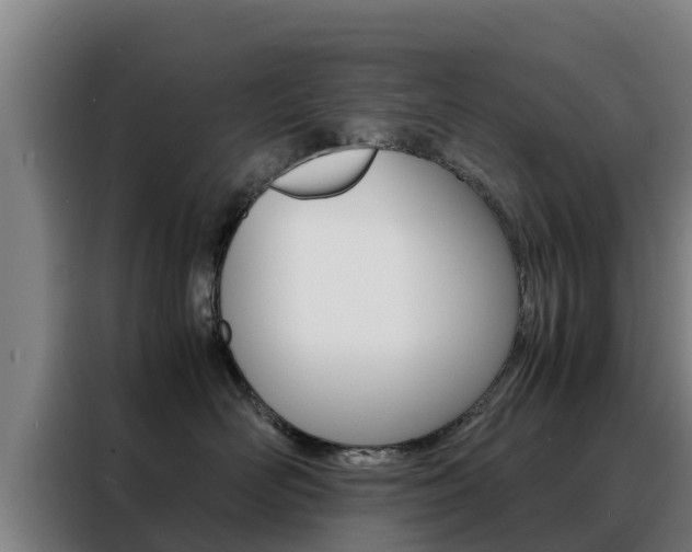 X0000088480526200705221003