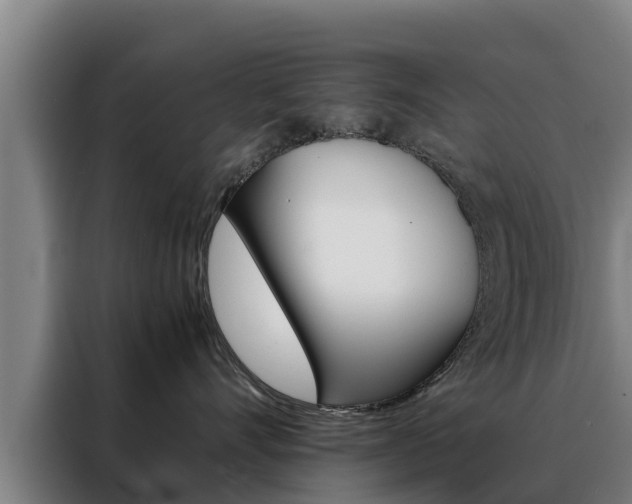 X0000088480528200705221003