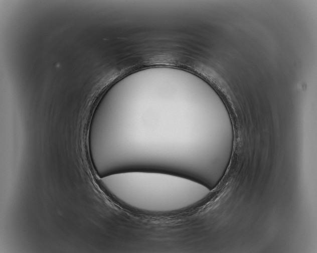 X0000088480529200705221003