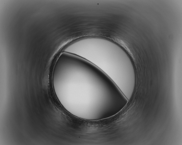 X0000088480531200705221003