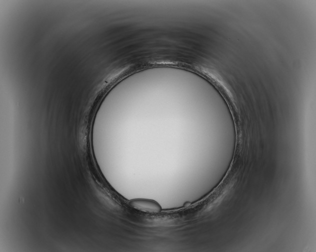 X0000088480533200705221003