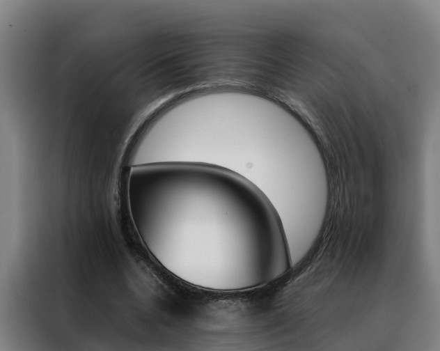 X0000088480536200705221003