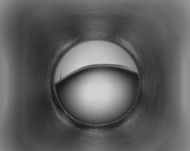 X0000088480538200705221003