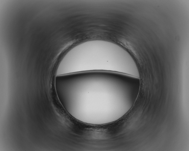 X0000088480539200705221003