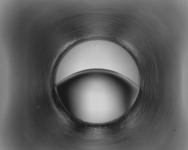 X0000088480540200705221003
