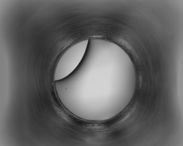 X0000088480541200705221003