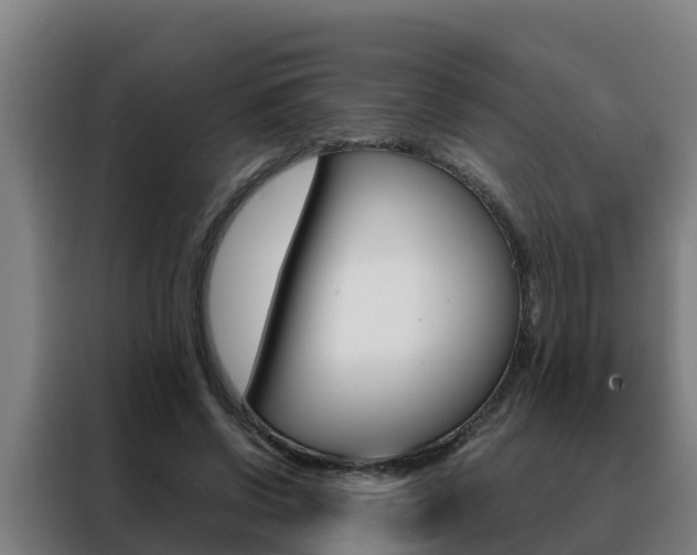 X0000088480542200705221003