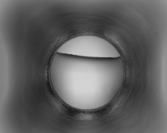 X0000088480545200705221003