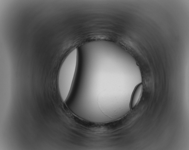 X0000088480551200705221003