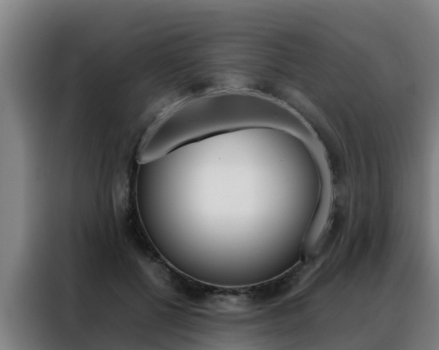 X0000088480552200705221003