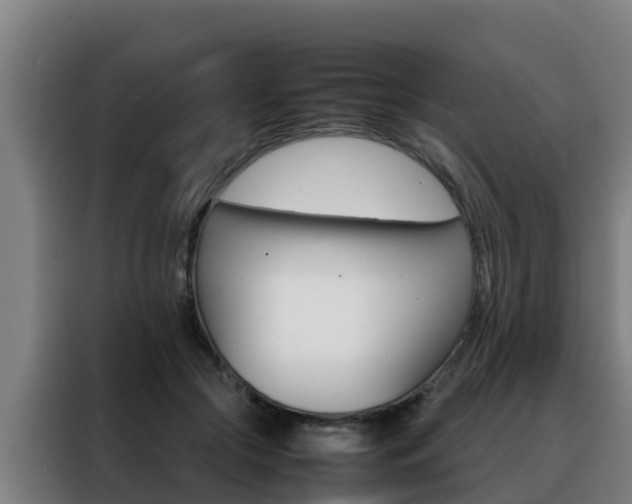 X0000088480553200705221003