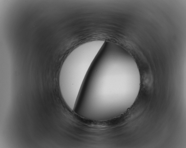 X0000088480559200705221003